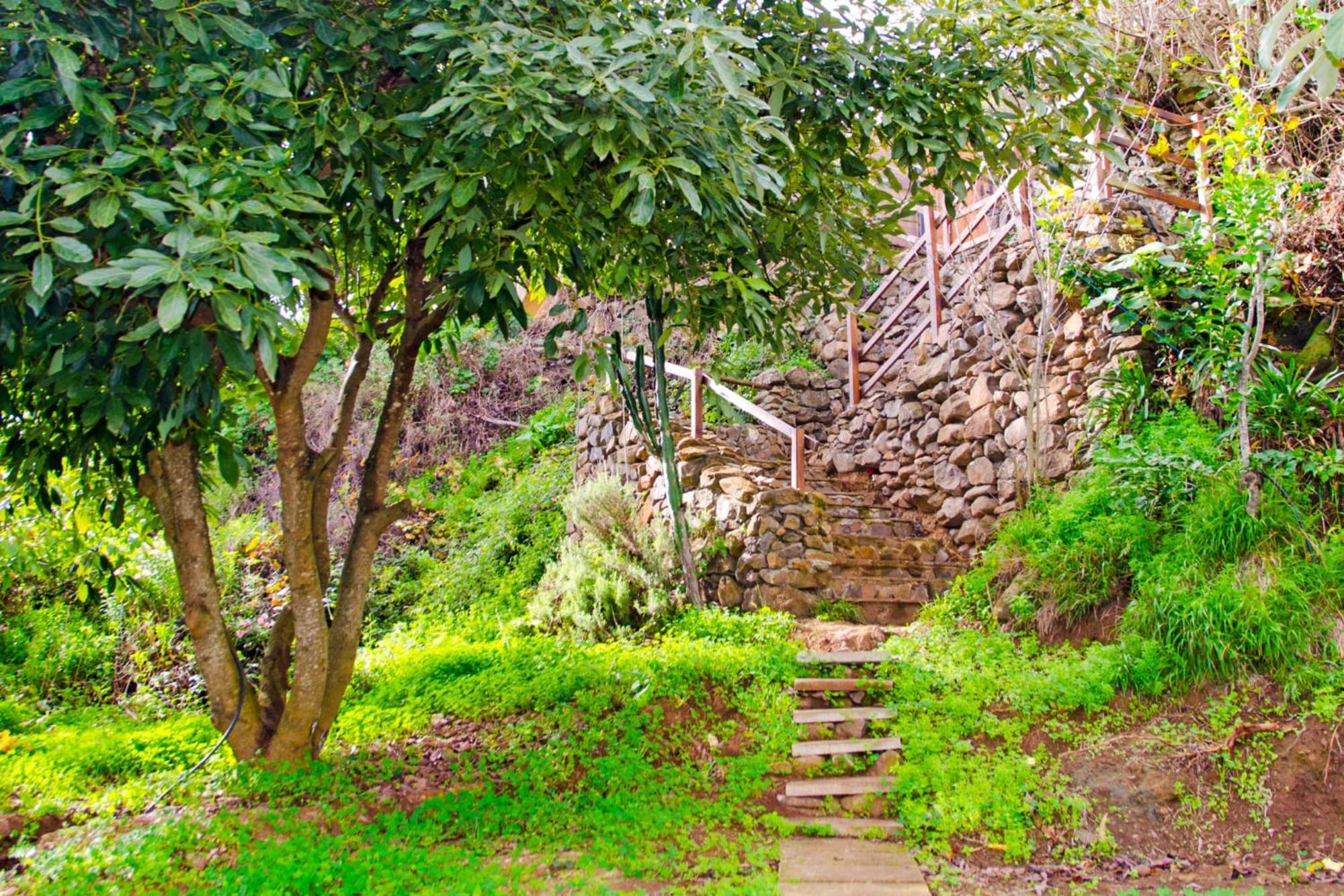 Zenda De Fontanales Villa Moya  Kültér fotó